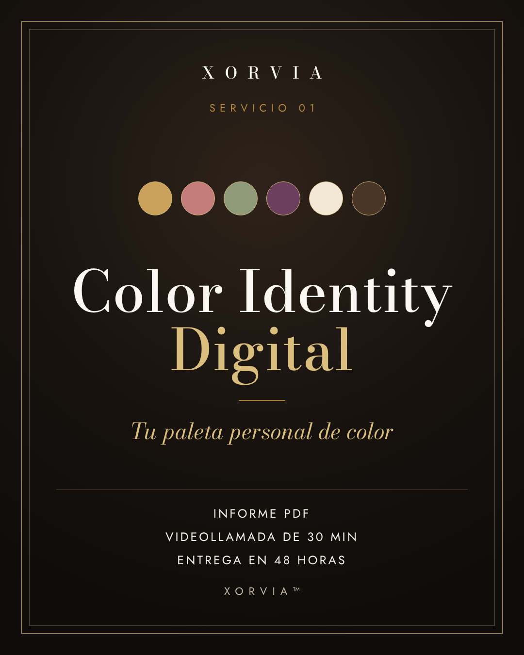 Color Identity Digital